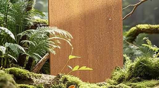 丝绒木语•层林谧境(黄) | 森林的治愈感让我每天都不愿出门